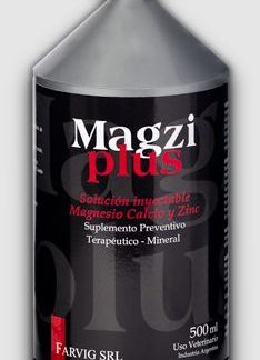 magziplus
