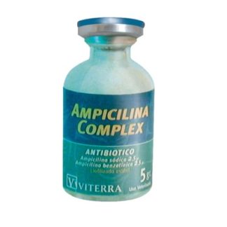 ampicilina