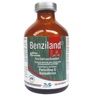 benziland