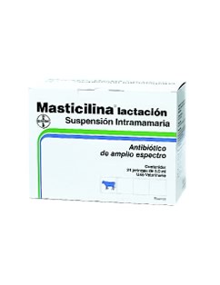 masticilina