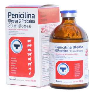 penicilina