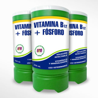 vitamina-b12-fosforo-tierwelt