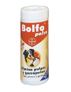 bolfo