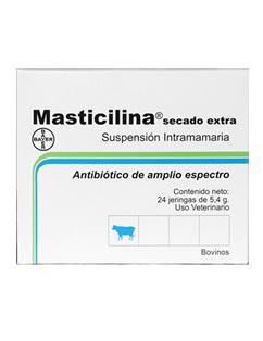 masticilina