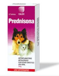 prednisona