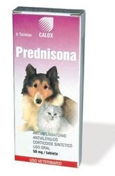 prednisona