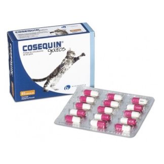 cosequin