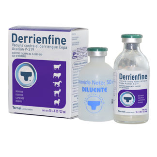 derrienfine