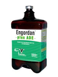 engordan