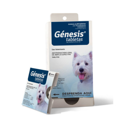 genesis