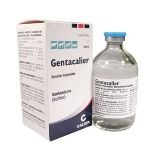 gentacalier