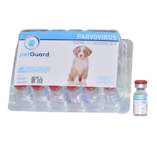 parvovirus